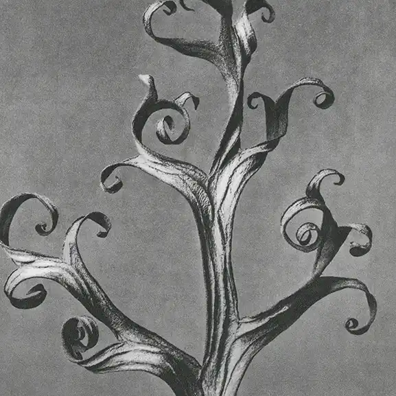 درباره ما تصویر برای خدمت